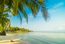 FAQ Image 3 FAQ Image 3